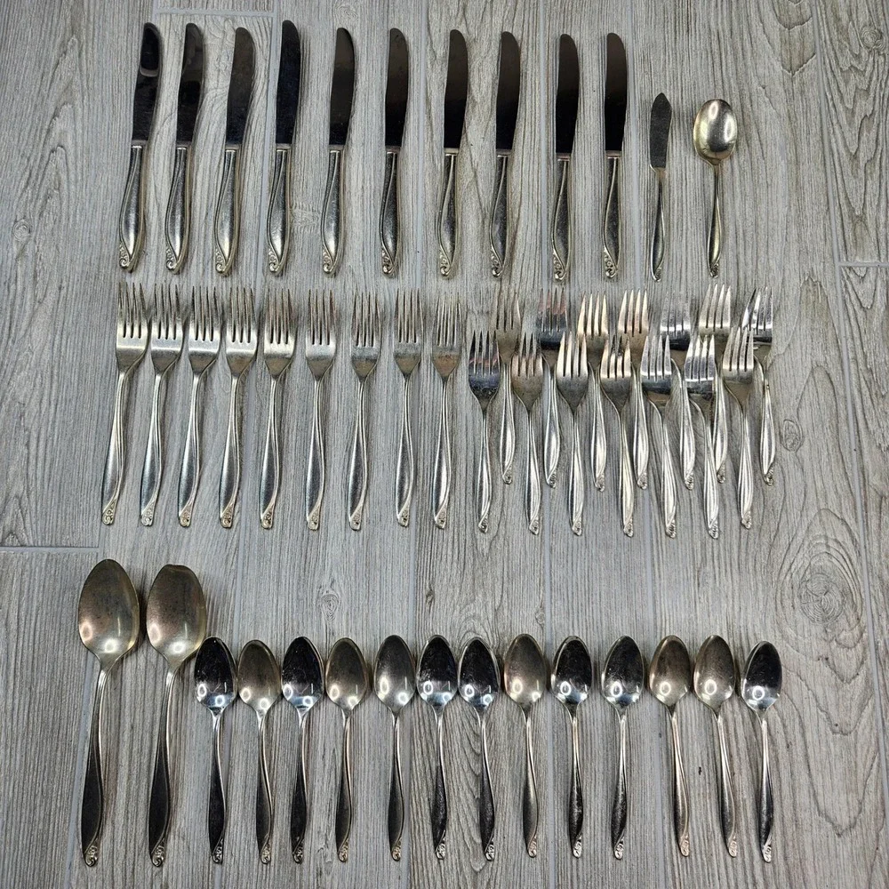 Wm. A. Rogers Oneida Flowertime Silver Overlaid Flatware Set 50 Pieces Vintage